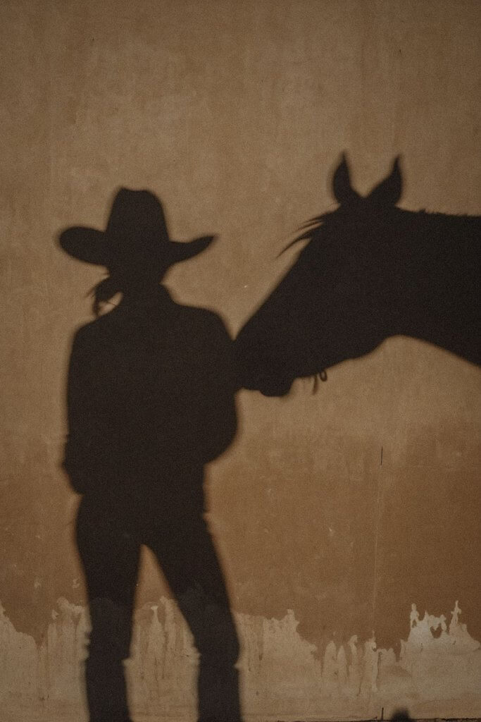 Shadow of a cowboy with a horse, representing the bold, independent spirit of Pecan Street Digital in Austin, Texas. Proud to offer digital marketing services.